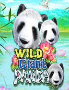 เปิดโลกบาคาร่าเครดิตฟรีล่าสุด สำหรับมือใหม่